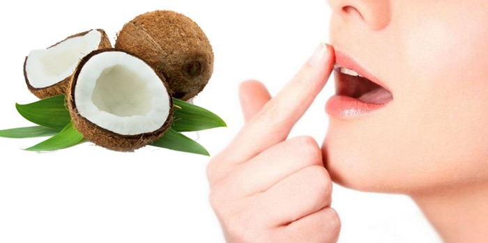 công dụng của dầu dừa công dụng của dầu dừa