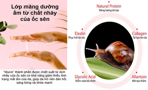 Bộ dưỡng da Some By Mi sở hữu phần lớn thành phần là dịch ốc sên đen giúp gia tăng hiệu quả dưỡng da tuyệt đối