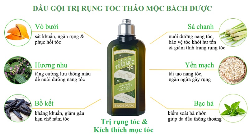 Dầu gội thảo mộc Bách Dược được chiết xuất 100% từ thiên nhiên 