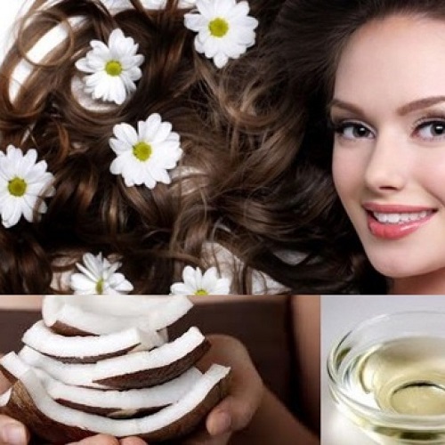 Dưỡng tóc mềm mượt với dầu dừa Dưỡng tóc mềm mượt với dầu dừa