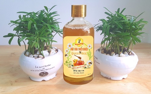 Sản phẩm Mật ong Queen Bee luôn chú trọng đến chất lượng