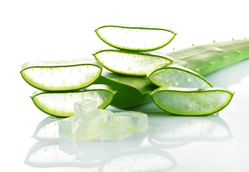 Nha đam - thuốc trị mụn cho nam hiệu quả