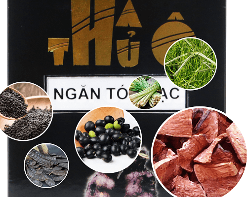 Tinh chất hà thủ ô được Tâm Phúc Thành điều chế 100% từ thảo dược tự nhiên an toàn, lành tính