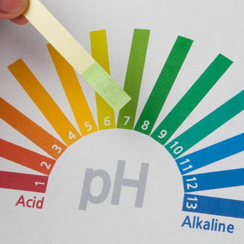 Sử dụng toner để cân bằng lại độ pH cho da giúp da có thêm thời gian để nghỉ ngơi